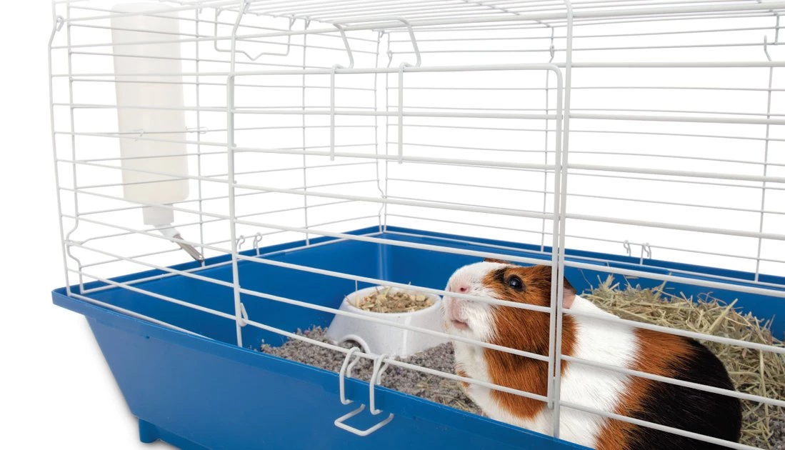 Ware Home Sweet Home Sunseed Guinea Pig Starter Kit 4 Ware Home Sweet Home Sunseed Guinea Pig Starter Kit - Image 2