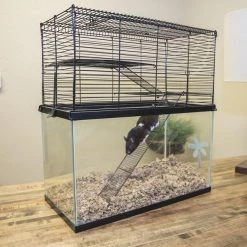 Ware Chew Proof Small Animal High Rise -Fetch For Pets || Ware || Inaba Shop 235456 PT3. SY630 V1591025494