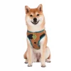 Fetch For Pets Scooby Doo Basic Dog Harness 1 Fetch For Pets Scooby Doo Basic Dog Harness -Fetch For Pets || Ware || Inaba Shop 259049 MAIN. SY630 V1625176201