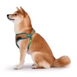 Fetch For Pets Scooby Doo Basic Dog Harness -Fetch For Pets || Ware || Inaba Shop 259049 PT3. SY630 V1604532111