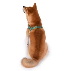 Fetch For Pets Scooby Doo Basic Dog Harness -Fetch For Pets || Ware || Inaba Shop 259049 PT4. SY630 V1604533606