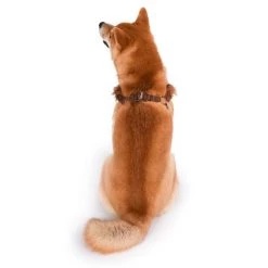 Fetch For Pets Star Wars Chewbacca Basic Dog Harness 11 Fetch For Pets Star Wars Chewbacca Basic Dog Harness -Fetch For Pets || Ware || Inaba Shop 259053 PT4. SY630 V1604529706