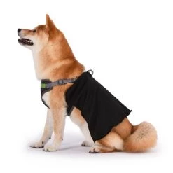 Fetch For Pets Star Wars Darth Vader Basic Dog Harness -Fetch For Pets || Ware || Inaba Shop 259057 PT3. SY630 V1604529103