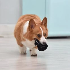 Fetch For Pets Star Wars Darth Vader Plush Flattie Dog Toy -Fetch For Pets || Ware || Inaba Shop 263781 PT3. SY630 V1608043934