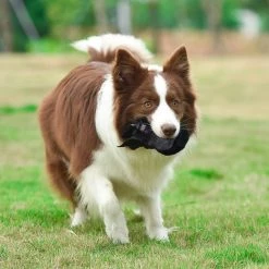 Fetch For Pets Star Wars Darth Vader Plush Flattie Dog Toy -Fetch For Pets || Ware || Inaba Shop 263781 PT4. SY630 V1608075198