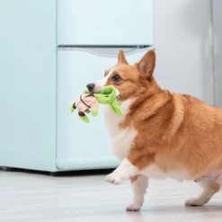 Fetch For Pets Star Wars Yoda Plush Flattie Dog Toy -Fetch For Pets || Ware || Inaba Shop 263783 PT3. SY630 V1608043954