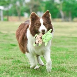 Fetch For Pets Star Wars Yoda Plush Flattie Dog Toy -Fetch For Pets || Ware || Inaba Shop 263783 PT4. SY630 V1608079396
