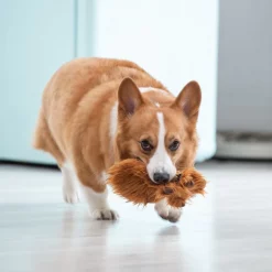 Fetch For Pets Chewbacca Plush Flattie Dog Toy 10 Fetch For Pets Chewbacca Plush Flattie Dog Toy -Fetch For Pets || Ware || Inaba Shop 263786 PT3. SY630 V1608044022