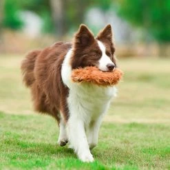 Fetch For Pets Chewbacca Plush Flattie Dog Toy 11 Fetch For Pets Chewbacca Plush Flattie Dog Toy -Fetch For Pets || Ware || Inaba Shop 263786 PT4. SY630 V1608080303