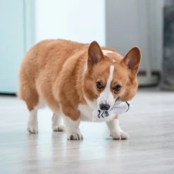 Fetch For Pets Star Wars Storm Trooper Plush Flattie Dog Toy -Fetch For Pets || Ware || Inaba Shop 263788 PT3. SY630 V1608044036