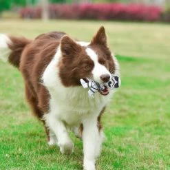 Fetch For Pets Star Wars Storm Trooper Plush Flattie Dog Toy -Fetch For Pets || Ware || Inaba Shop 263788 PT4. SY630 V1608081132