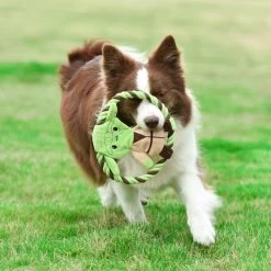Fetch For Pets Star Wars Yoda Plush Rope Frisbee Dog Toy -Fetch For Pets || Ware || Inaba Shop 263795 PT4. SY630 V1608080531