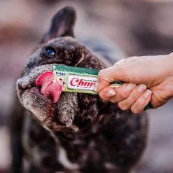 Inaba Churu Chicken with Vegetable Puree Recipe Grain-Free Lickable Dog Treat, 0.5-oz, pack of 4 -Fetch For Pets || Ware || Inaba Shop 265008 PT6. SY630 V1636412807