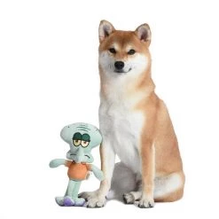 Fetch For Pets Spongebob Squidward Squeaky Plush Dog Toy -Fetch For Pets || Ware || Inaba Shop 265299 PT3. SY630 V1611091687