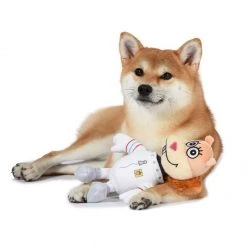 Fetch For Pets SpongeBob Sandy Squeaky Plush Dog Toy -Fetch For Pets || Ware || Inaba Shop 265301 PT4. SY630 V1611091176