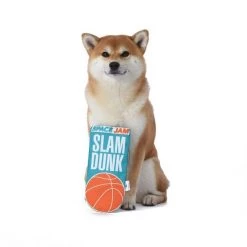 Fetch For Pets Looney Tunes Space Jam 2 Basketball Flyer Dog Toy 9 Fetch For Pets Looney Tunes Space Jam 2 Basketball Flyer Dog Toy -Fetch For Pets || Ware || Inaba Shop 283153 PT3. SY630 V1616793423