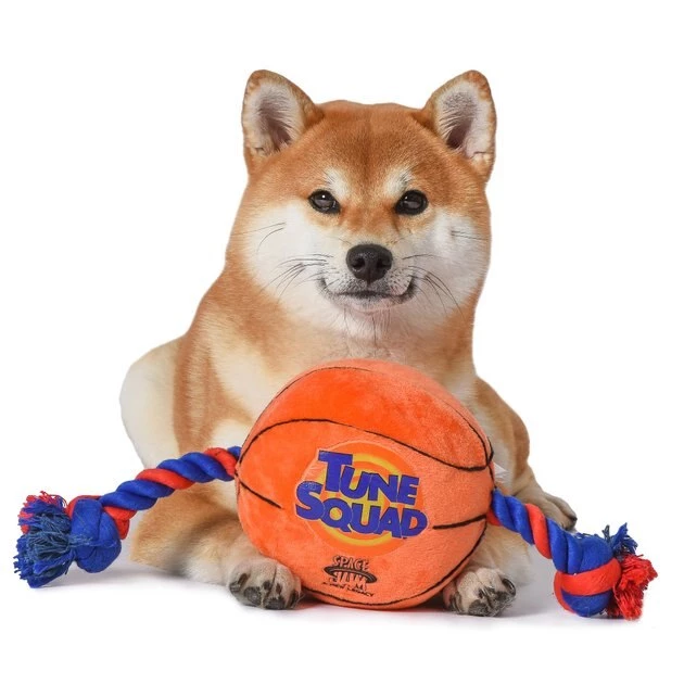 Fetch For Pets Looney Tunes Space Jam 2 Basketball Rope Pull Dog Toy 5 Fetch For Pets Looney Tunes Space Jam 2 Basketball Rope Pull Dog Toy - Image 3