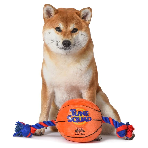 Fetch For Pets Looney Tunes Space Jam 2 Basketball Rope Pull Dog Toy 6 Fetch For Pets Looney Tunes Space Jam 2 Basketball Rope Pull Dog Toy - Image 4