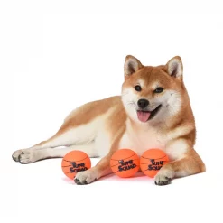 Fetch For Pets Looney Tunes Space Jam 2 Tune Squad Vinyl Squeaker Balls Dog Toys, 3 count 8 Fetch For Pets Looney Tunes Space Jam 2 Tune Squad Vinyl Squeaker Balls Dog Toys, 3 count -Fetch For Pets || Ware || Inaba Shop 283161 PT2. SY630 V1616794059