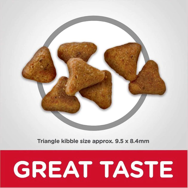 Hill's Science Diet||Inaba Hill's Science Diet Adult Indoor Chicken Recipe Dry Food + Inaba Churu Seafood Puree Grain-Free Lickable Cat Treat 6 Hill's Science Diet||Inaba Hill's Science Diet Adult Indoor Chicken Recipe Dry Food + Inaba Churu Seafood Puree Grain-Free Lickable Cat Treat - Image 4