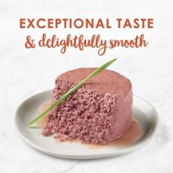 Fancy Feast||Inaba Fancy Feast Classic Savory Salmon Feast Canned Food + Inaba Churu Grain-Free Tuna Puree Lickable Cat Treat -Fetch For Pets || Ware || Inaba Shop 294278 PT2. SY630 V1620227234