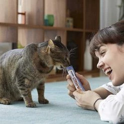 Inaba||Pet Fit For Life Inaba Churu Grain-Free Chicken, Tuna, Scallop Puree Variety Pack Lickable Cat Treat, 0.5-oz tube, pack of 20 + Pet Fit For Life 5 Piece Squiggly Worm Wand Cat Toy -Fetch For Pets || Ware || Inaba Shop 298118 PT3. SY630 V1623253656