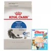 Royal Canin||Inaba Royal Canin Indoor Adult Dry Cat Food, 15-lb bag + Inaba Churu Seafood Puree Variety Pack Grain-Free Lickable Cat Treat, 0.5-oz tube, 20 count -Fetch For Pets || Ware || Inaba Shop 298486 MAIN. SY630 V1623244394