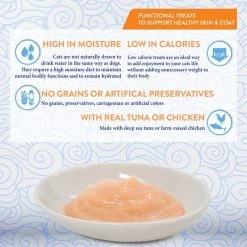 Inaba Churu Grain-Free Skin & Coat Chicken with Scallop Recipe Lickable Cat Treat, 24 count -Fetch For Pets || Ware || Inaba Shop 316861 PT4. SY630 V1633453922