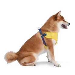 Fetch For Pets Star Wars C3PO Dog Harness -Fetch For Pets || Ware || Inaba Shop 336359 PT5. SY630 V1634237802