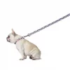 Fetch For Pets Snoopy Dog Leash, 72-in long -Fetch For Pets || Ware || Inaba Shop 338549 MAIN. SY630 V1635780240