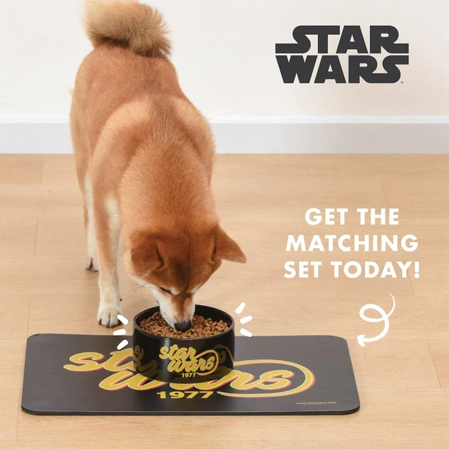 Fetch For Pets Star Wars 1977 Dog Bowl 8 Fetch For Pets Star Wars 1977 Dog Bowl - Image 6