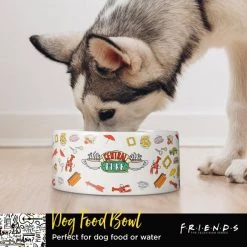 Fetch For Pets Friends "Joey Doesn't Share Food" Ceramic Dog Bowl -Fetch For Pets || Ware || Inaba Shop 345618 PT5. SY630 V1636387612
