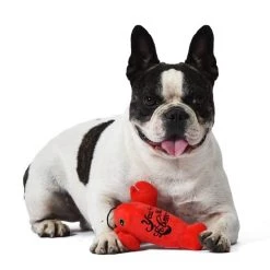 Fetch For Pets Friends Lobster Plush Squeakey Dog Toy -Fetch For Pets || Ware || Inaba Shop 362985 PT3. SY630 V1643062016