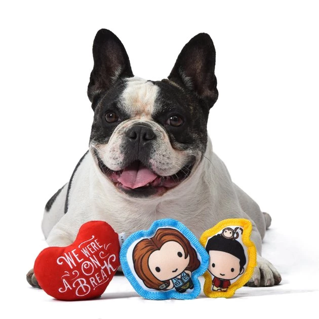 Fetch For Pets Friends V-Day "We Were On a Break" Squeaky Dog Toy, 3 count 6 Fetch For Pets Friends V-Day "We Were On a Break" Squeaky Dog Toy, 3 count - Image 4