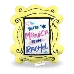 Fetch For Pets Friends You're Better Together Frame Plush Squeaky Dog Toy