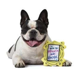 Fetch For Pets Friends You're Better Together Frame Plush Squeaky Dog Toy -Fetch For Pets || Ware || Inaba Shop 362997 PT3. SY630 V1643062299