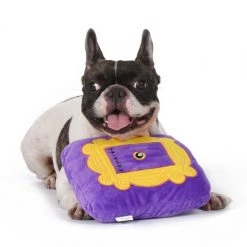 Fetch For Pets Friends Frame Plush Squeak Dog Toy -Fetch For Pets || Ware || Inaba Shop 363768 PT3. SY630 V1643251915