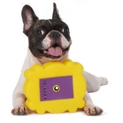 Fetch For Pets Friend Frame Vinyl Squeak Dog Toy 9 Fetch For Pets Friend Frame Vinyl Squeak Dog Toy -Fetch For Pets || Ware || Inaba Shop 363770 PT3. SY630 V1643252596