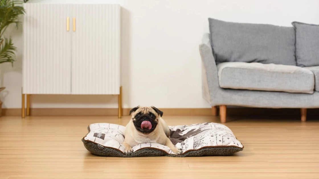 Fetch For Pets Harry Potter Napper Dog Bed, Marauder's Map 7 Fetch For Pets Harry Potter Napper Dog Bed, Marauder's Map - Image 5