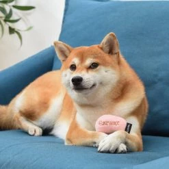 Fetch For Pets Harry Potter Bertie Botts Jelly Bean Burrow Dog Toy -Fetch For Pets || Ware || Inaba Shop 367773 PT7. SY630 V1645229520