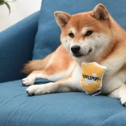 Fetch For Pets Harry Potter House Sorting Hat Burrow Dog Toy -Fetch For Pets || Ware || Inaba Shop 367779 PT8. SY630 V1645225899