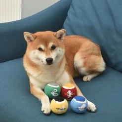 Fetch For Pets Harry Potter 4PK Hogwarts Pride Tennis Ball Dog Toy -Fetch For Pets || Ware || Inaba Shop 367787 PT6. SY630 V1645230706