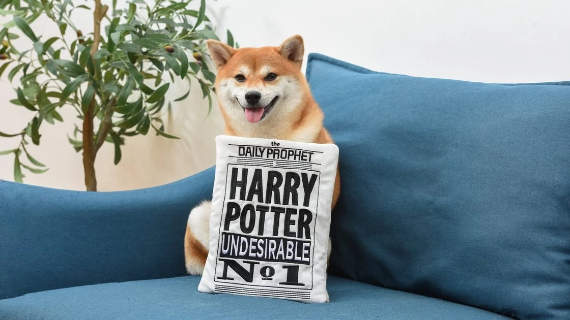Fetch For Pets Harry Potter Daily Prophet Newspaper Crinkle Dog Toy 6 Fetch For Pets Harry Potter Daily Prophet Newspaper Crinkle Dog Toy - Image 4